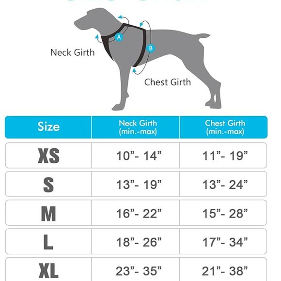 Rabbitgoo Dog Harness, -Pull Pet Harness with 2 Leash Clips, Adjustable Soft Pad - Picture 4 of 4